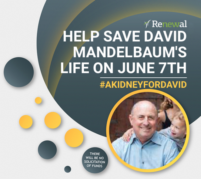 Kidney4David.png