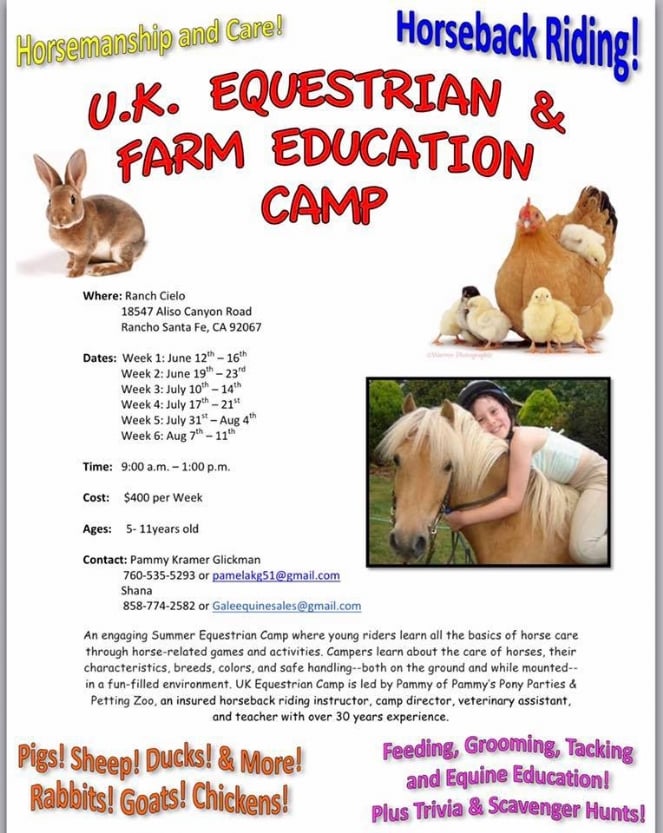 horse camp.jpg