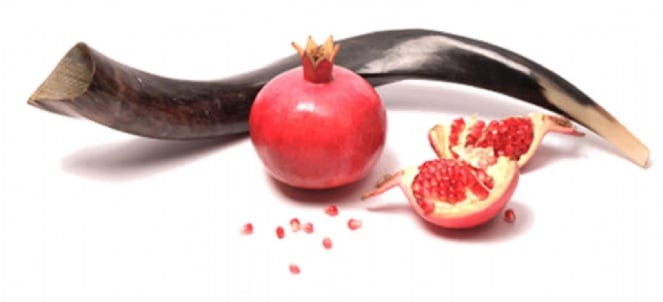 Shofar Pom lg.jpg
