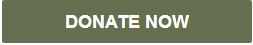 Donate Now button.JPG